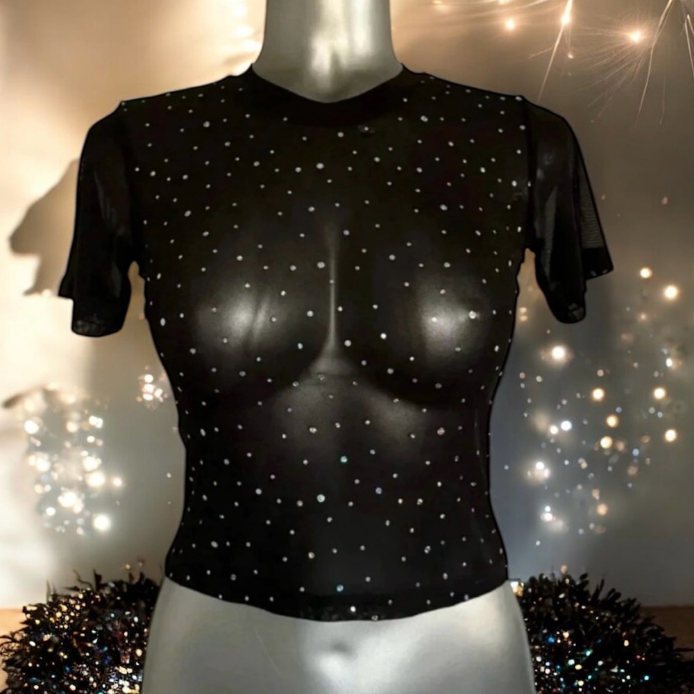 Free | French Twist Shimmering Mesh T-Shirt